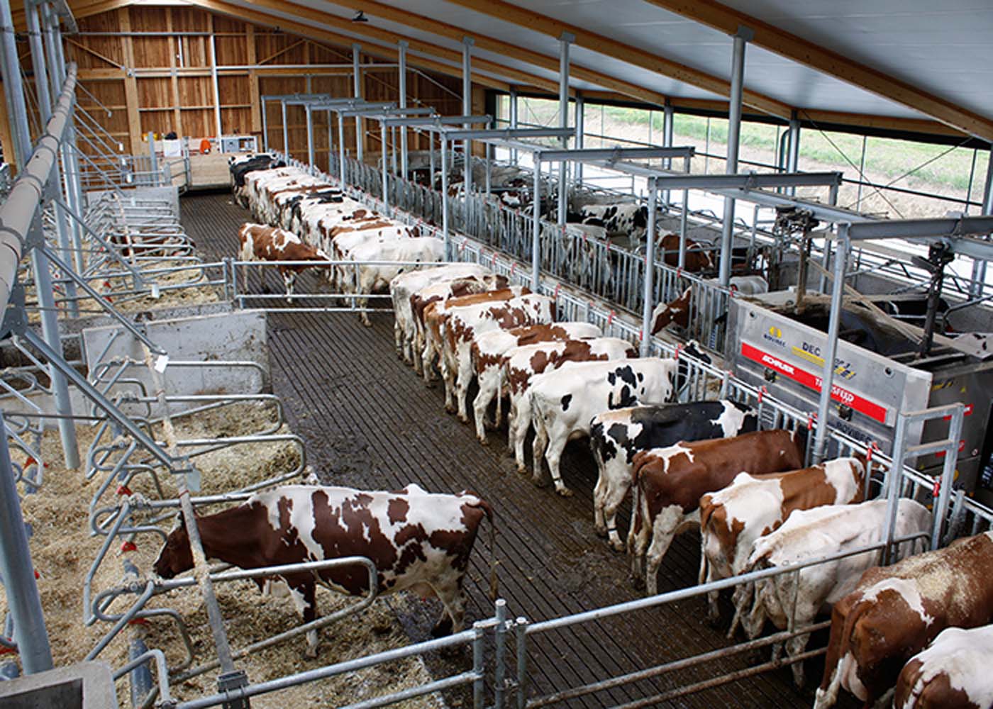 Dairy Cow Housing Systems All About Cow Photos 1394